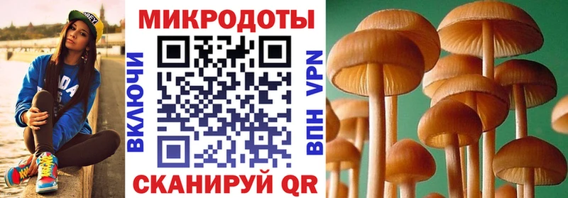 Псилоцибиновые грибы Magic Shrooms KRAKEN сайт Калининград купить наркотик